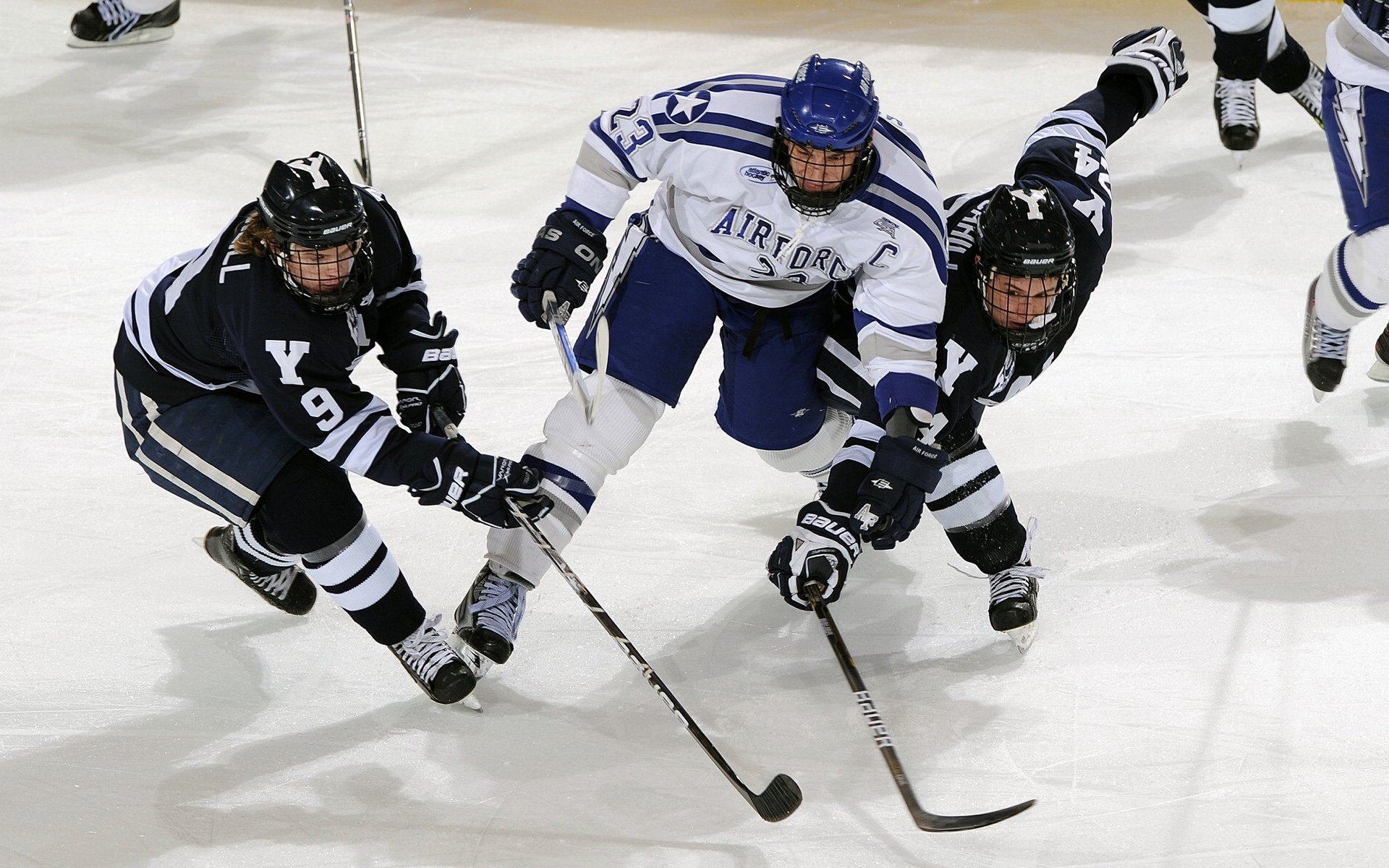 开云在线赛事平台-从曼城到德甲，哈兰德的统治力如何定义现代足球的唯一性