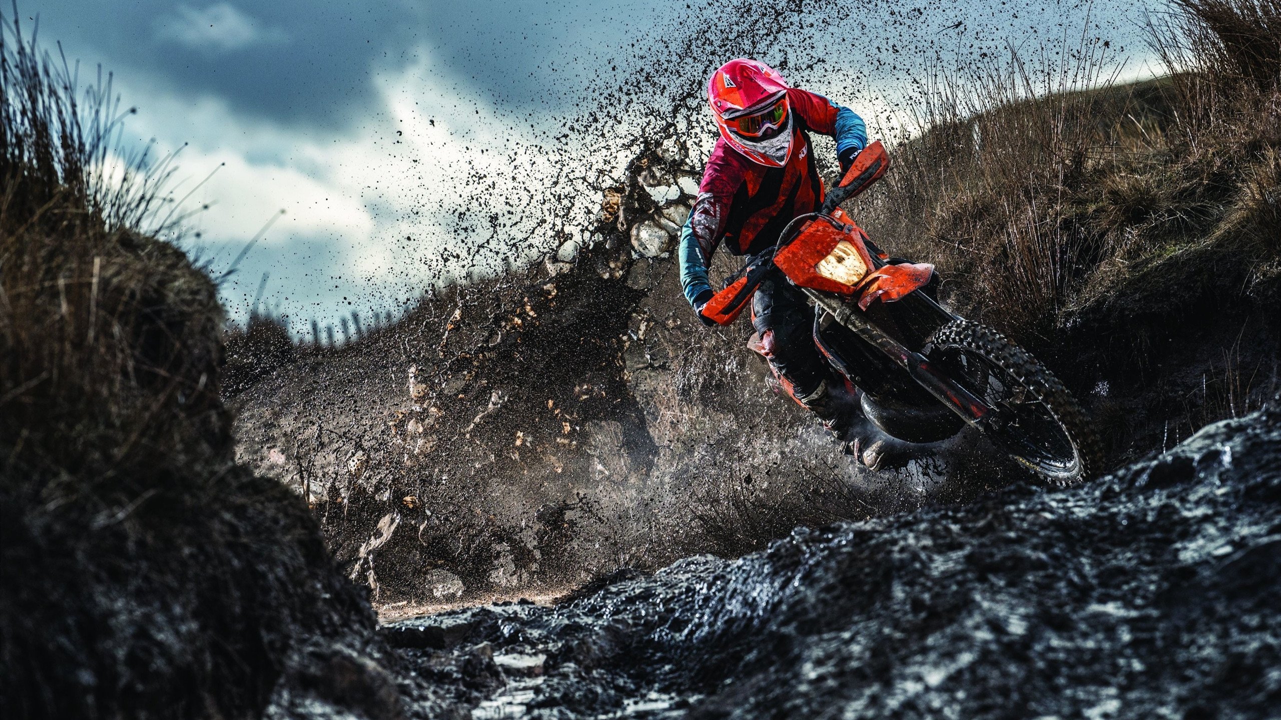 开云体育入口-从橄榄球场到F1赛道，莱奥的接管艺术与新西兰的翻盘基因